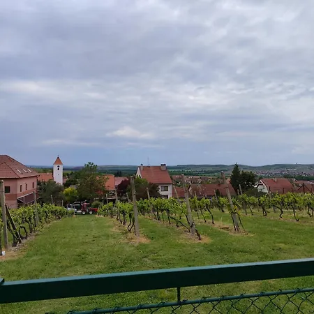 A Vinarstvi Milan Kosik * Perna